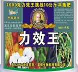 力效王 