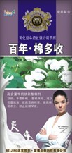 百年棉多收 