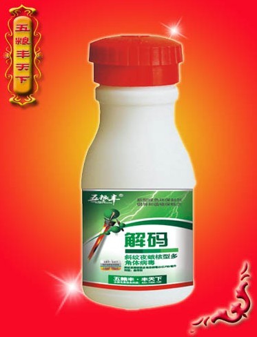 斜纹夜蛾核型多角体病 