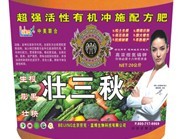 壮三秋 