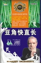 豆角快直长 