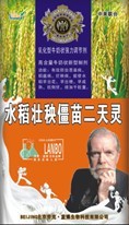 水稻壮秧僵苗二天灵 