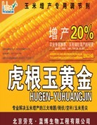 虎根玉黄金 