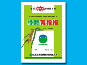 胜邦绿野青稻福 