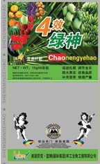 4效绿神 