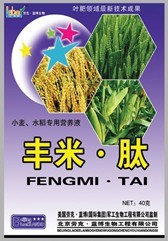 丰米•肽 