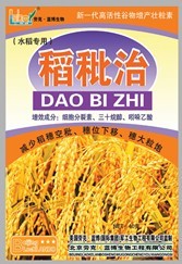 稻秕治 