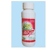 南方红 