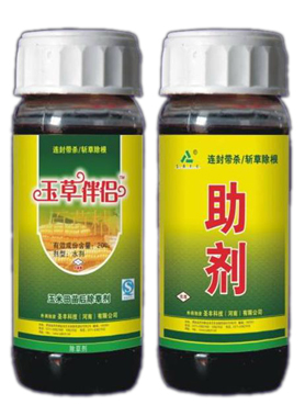 玉草伴侣 