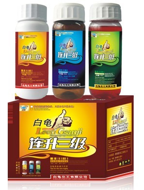 白龟连升三级 