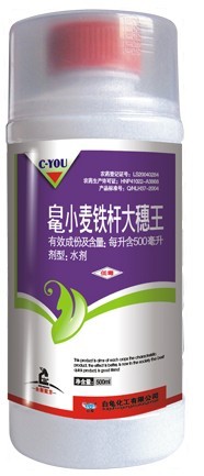 白龟小麦铁杆大穗王 