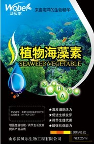 植物海藻素 