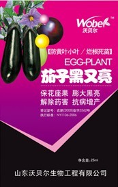 茄子黑又亮 