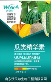 瓜类精华素 