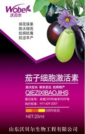 茄子细胞激活素 
