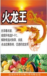 火龙王 