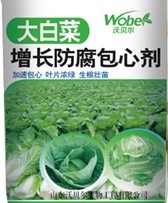 大白菜增长防腐包心剂 