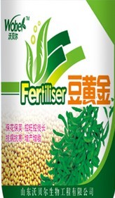 豆黄金 