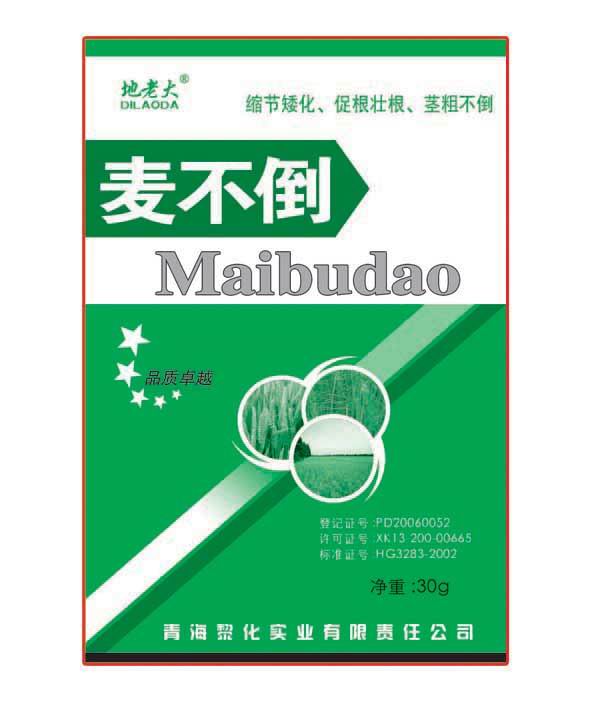 麦不倒 