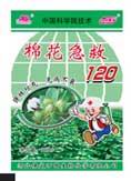 棉花急救120 