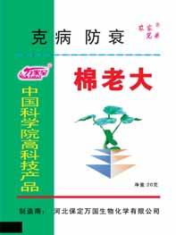 棉老大 