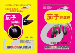 茄子挂满枝 