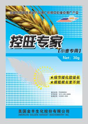 小麦控旺专家 