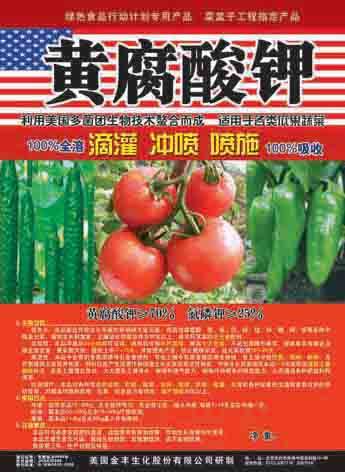 黄瓜辣椒番茄专用黄腐 