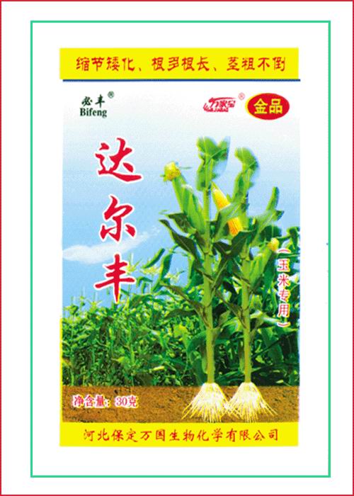 玉米控旺矮化达尔丰 