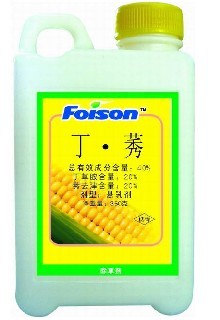 丁莠 