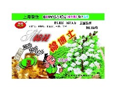 棉博士 