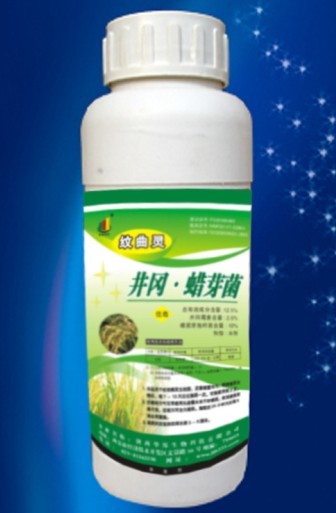 井冈蜡芽菌 
