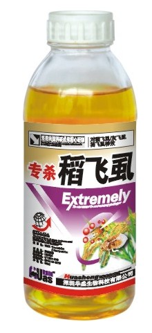 稻飞虱 