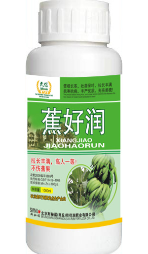 蕉好润 