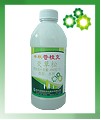 苍棱克  