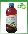 阔田通 