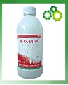 丰秋明净 
