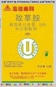 志信惠利  