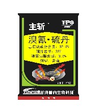 主斩 