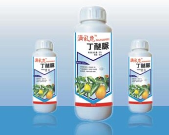 满虱危 