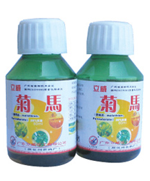 菊马（久克 