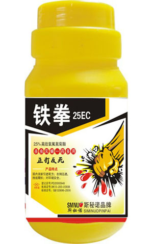 铁拳 
