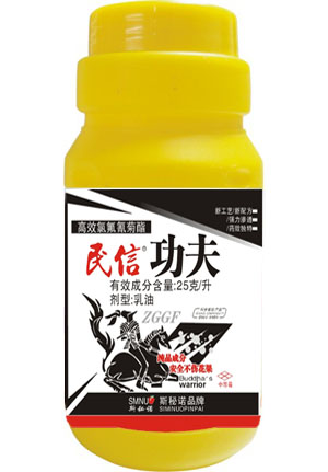 民信功夫 