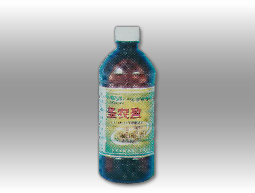 圣农盈 