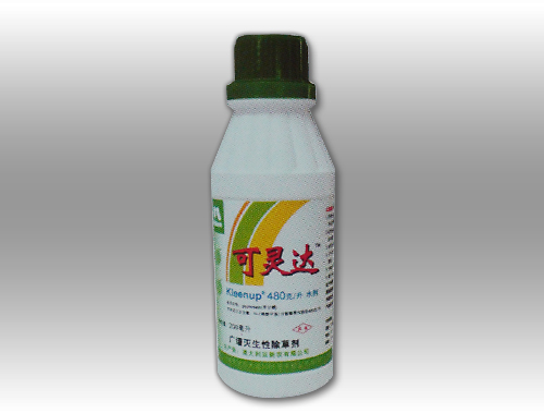 可灵达 