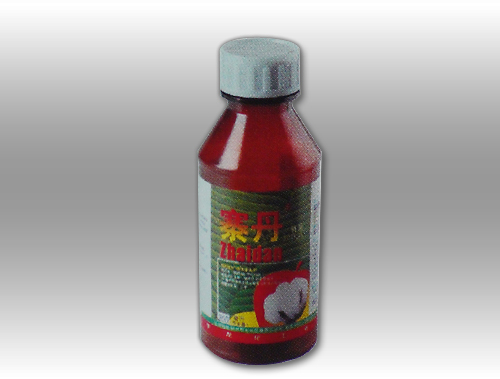 寨丹 