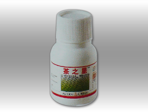 茶之星 