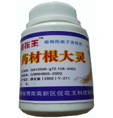 药材根大灵 