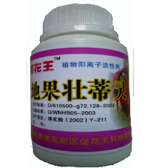 地果壮蒂灵 