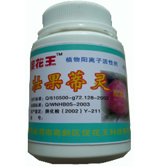 壮果蒂灵（ 